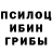 Галлюциногенные грибы Cubensis Lol Oklov