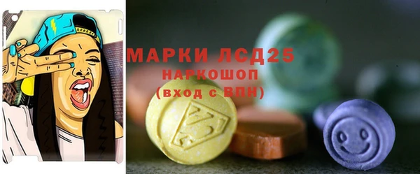 дмт Аркадак