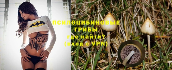 дмт Аркадак