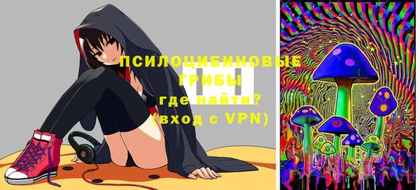 МДПВ Армянск