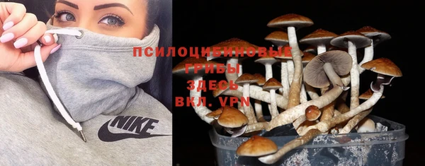 ешки Алексин