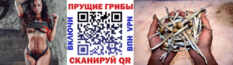 Псилоцибиновые грибы прущие грибы  Арсеньев 